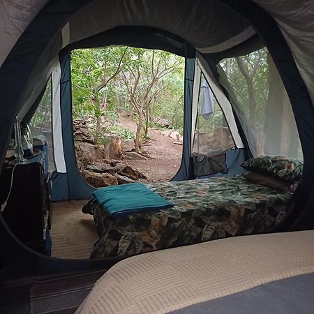 Adorable Unique Guest House - African Bush Feel Kalkheuvel Exteriör bild