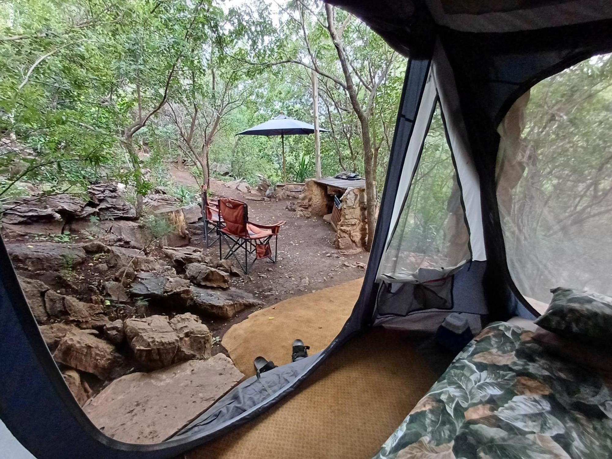 Adorable Unique Guest House - African Bush Feel Kalkheuvel Exteriör bild