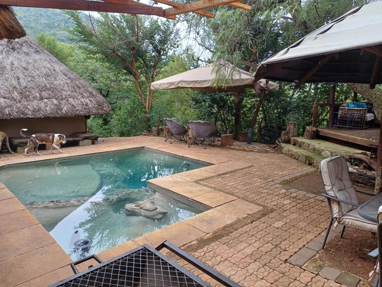 Adorable Unique Guest House - African Bush Feel Kalkheuvel Exteriör bild